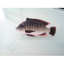 Форма рыба зажим для галстука, изготовленный на заказ значок (GZHY-LDJ-029)